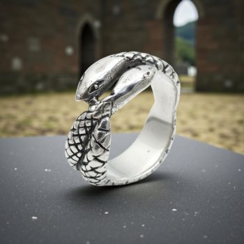 Anillo Ouroboros Ancho 0,65 Cm Plata 9 Gr Art 482